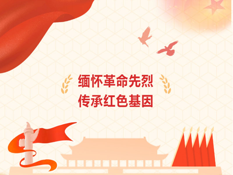 MYBALL迈博党日活动丨缅怀革命先烈 传承红色基因